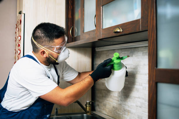Trusted Clinton, KY Pest Control Experts