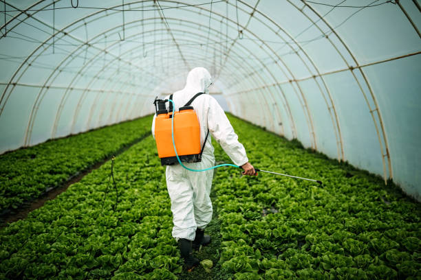 Best Local Pest Control Services  in Clinton, KY