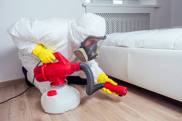 Best Termite Control Services  in Clinton, KY