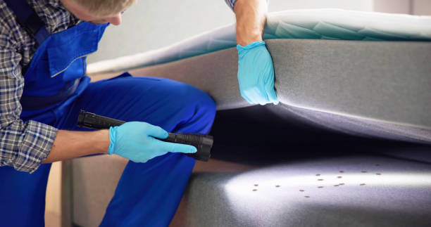 Pest Control Cost in Clinton, KY