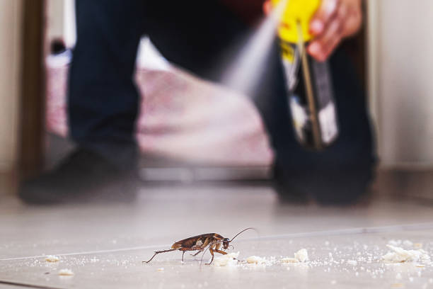 Best Best Pest Control Companies  in Clinton, KY